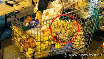 Full trolley exposes Australia’s unseen crisis - news.com.au