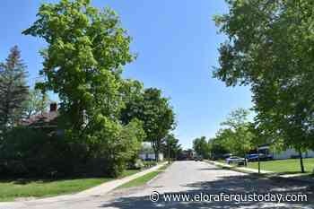 Good morning, Elora & Fergus! 0 - EloraFergusToday