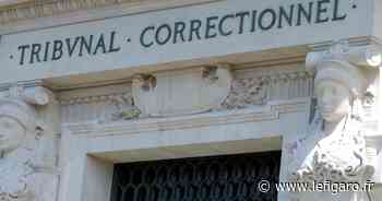 Mules guyanaises : un surveillant de la prison de Fresnes jugé mercredi - Le Figaro