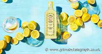 Bombay Sapphire launches Tom Collins-inspired Citron Presse - Grimsby Live