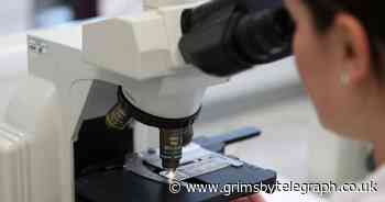 Monkeypox may be renamed amid fears of racism - Grimsby Live