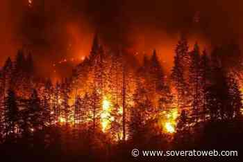 Incendi: accordo Regione Calabria-Carabinieri; Occhiuto, tolleranza zero e prevenzione - Soverato Web