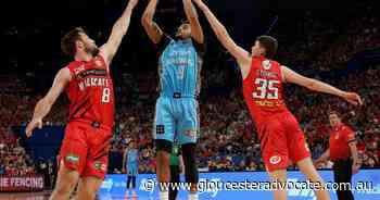 Wildcats sign former rival Corey Webster - Gloucester Advocate