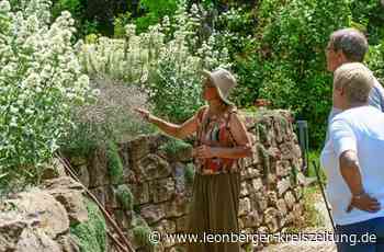 Tag des offenen Gartentors in Leonberg - Ein Blick in Nachbars Garten - Leonberger Kreiszeitung