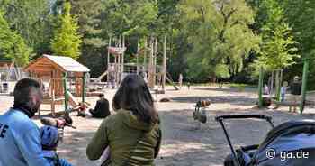 Hitze in der Stadt: Diese Orte in Bonn und der Region bieten Abkühlung - General-Anzeiger Bonn