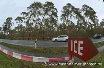 Informationen zur ICE-Neubaustrecke bei Lampertheim aus zwei Warten - Lampertheim - Nachrichten und Informationen - Mannheimer Morgen