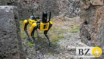 Italien: Deshalb wird Pompeji von einem Roboterhund bewacht