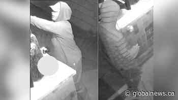 Police seek duo believed to have vandalized Harriet Tubman school, neighbourhood in St. Catharines