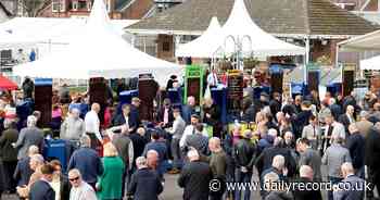 Ayr Racecourse is criticised for Scottish Grand National bar operations and drink incidents - Daily Record