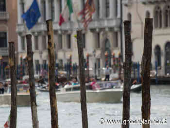 Il “bosco sommerso” di Venezia rivive nei bei souvenir di legno - Green Planner