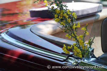 PODCAST: Broom Busters hoping to sweep Vancouver Island clean - Comox Valley Record