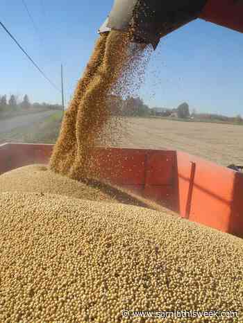 New soybean processing facility proposed for Sarnia | Sarnia & Lambton County This Week - Sarnia and Lambton County This Week