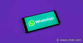 How to Transfer Your WhatsApp Chat History from Android to iPhone     - CNET