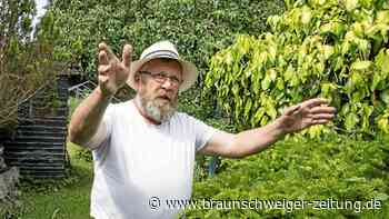 Kleingarten mit englischem Huhn und Magdeburger Taube