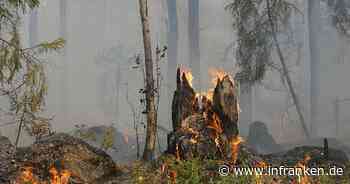Landkreis Bamberg: Wetterdienst rechnet mit hoher Waldbrandgefahr - das rät das Landratsamt