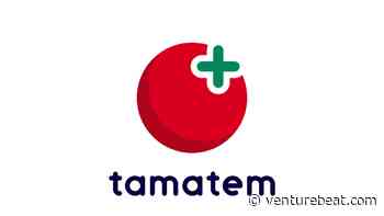 Tamatem Games partners with MSA Novo - VentureBeat