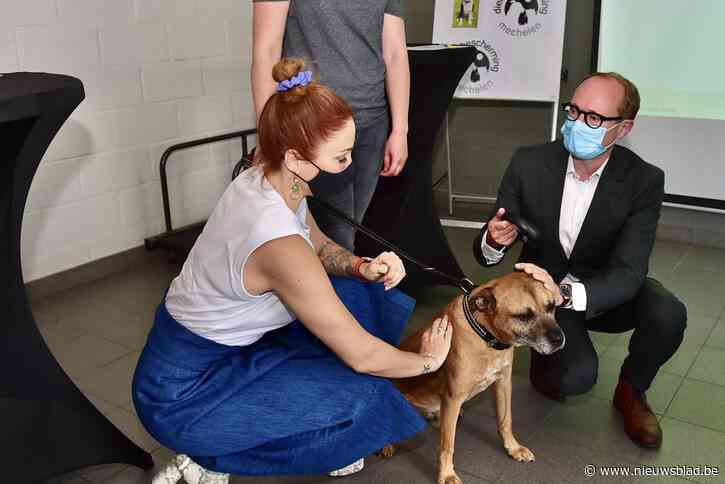 Politie post opvallend veel foto’s van weggelopen huisdieren op sociale media: “We kunnen de chip niet altijd lezen”