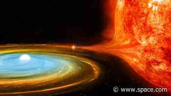 Fastest nova ever seen 'rings' like a bell thanks to feeding white dwarf