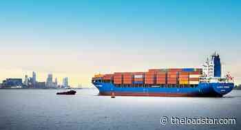 Forwarder Allseas launches shipping line with bespoke customer service - theloadstar.com