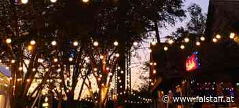 Die Top 5 Schanigärten in Wien