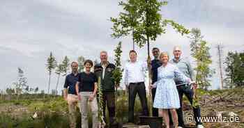 Engagierte Detmolder gründen den Verein Bürgerwald Detmold | Lokale Nachrichten aus Detmold - Lippische Landes-Zeitung