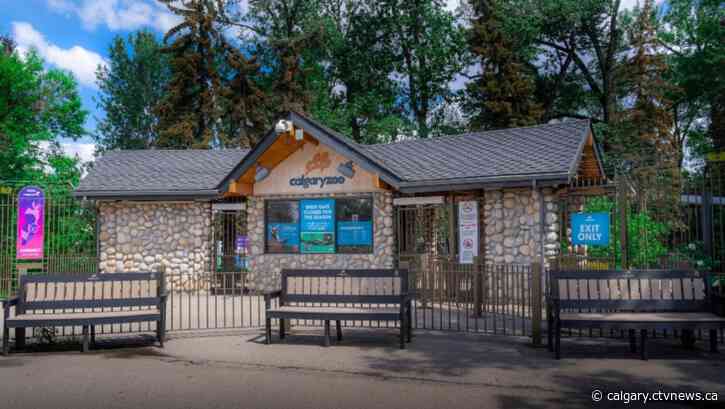Calgary Zoo reopens west gate to visitors after 2 years