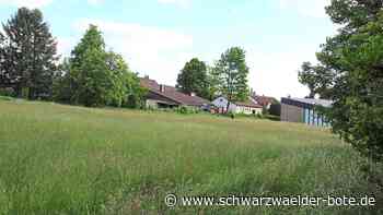 Mögliche Baugebiete: "Rothe Hausäcker" in Dobel erst mal abgehakt"Rothe Hausäcker" in Dobel erst einmal abgehakt