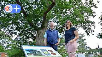 Historisches Schwedeneck: Geschichte an allen Ecken und Enden