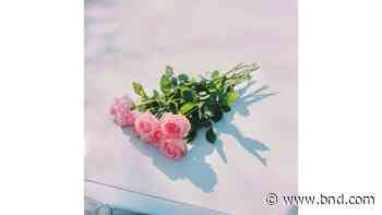 Review: Indie rockers Foals offer album perfect for summer - Belleville News-Democrat