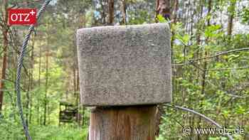 Besorgte Fragen zu Wildtier-Leckstein im Jenaer Wald