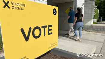 Hamilton to introduce new measures to make voting more accessible in municipal election - CBC.ca
