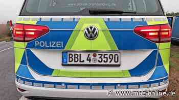 Einbruch in Bad Belzig: Diebe lassen Blumenerde mitgehen - Märkische Allgemeine Zeitung