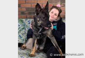 Search continues for woman, dog near Kelowna creek during flood emergency