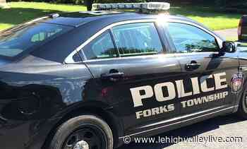 13-year-olds charged in Forks Township $29K vandalism spree, police say - lehighvalleylive.com