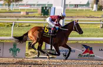 Which 3-year-olds belong in Haskell, Travers? - Horse Racing Nation