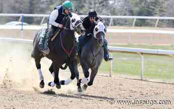Two year-olds get their moment to shine Wednesday at Ajax Downs | inDurham - insauga.com