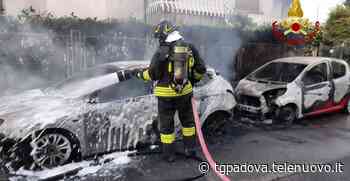 Paura all'alba all'Arcella, auto e siepe in fiamme - TG Padova