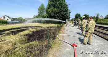 Onkruidverdelger zet weide naast stationsperron in Zingem in brand - Het Laatste Nieuws
