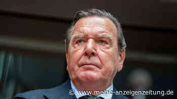 Schröder fordert Bundestagsbüro und Mitarbeitende zurück