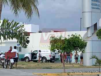 Muere menor de dos años por ataque de pitbull, en Manzanillo - Noticias Va de Nuez