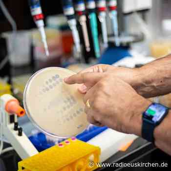 Kann die Phagentherapie Antibiotika ersetzen? - radioeuskirchen.de