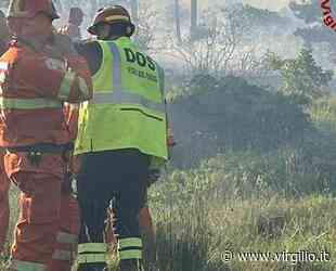 Vasto incendio nella zona del ponte ferroviario del Lisert - Virgilio