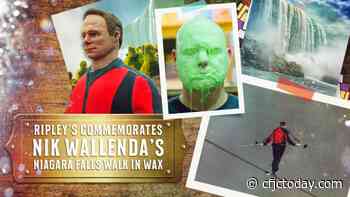 Ripley's Commemorates Nik Wallenda's Niagara Falls Walk In Wax - CFJC Today Kamloops