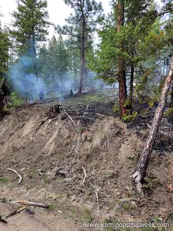 Kamloops woman facing arson charges to elect mode of trial - Kamloops This Week