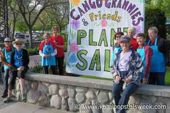 Local green thumbs help make CanGo Grannies fundraiser a success - Kamloops This Week