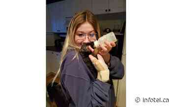 Kamloops teen appealing to city council to let her keep support puppy | iNFOnews | Thompson-Okanagan's News Source - iNFOnews