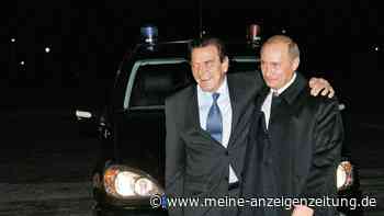 Nach Sanktionen gegen Putin-Freund: Altkanzler Schröder geht gegen Bundestag vor - „Öffentliche Hetzjagd“