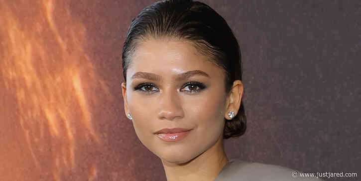 Zendaya Hits Back at Viral Pregnancy Rumors: 'This Is Why I Stay Off Twitter'