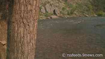 Man dies after raft overturns in Poudre River