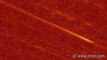 Rare Near-Sun Comet 'Roasted to Death' Like a Space Icarus     - CNET